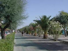 italie italie
